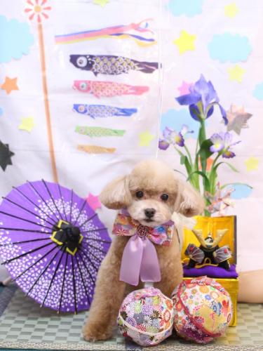 20240503モカくん